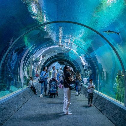 tunel_podwodny