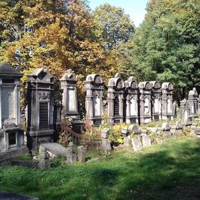 [Translate to Angielski:] Cmentarz Żydowski Macewy , [Translate to Angielski:] Cmentarz Żydowski Macewy 